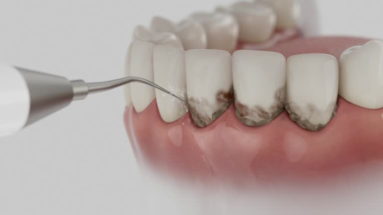 Reliable Dental contractor in Neffs, OH by Dentist Open Now